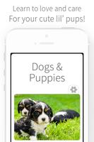 Dogs & Puppies - Puppy Care Cartaz