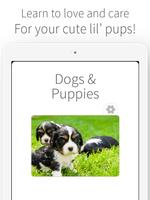 Dogs & Puppies - Puppy Care imagem de tela 3