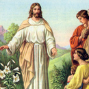 APK Bible stories