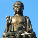 Buddha quotes and Dhammapada APK