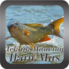 Teknik Mancing Ikan Mas आइकन