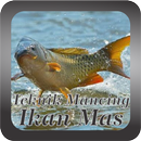 Teknik Mancing Ikan Mas APK