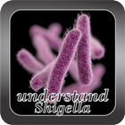 Understand Shigella icono