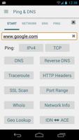 Ping & Net পোস্টার