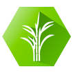 SugarMill Calc (Unreleased)