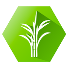 SugarMill Calc иконка