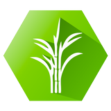 SugarMill Calc иконка