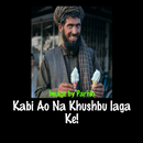 APK Urdu Jokes - Urdu Lateefay