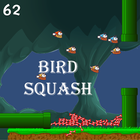 Flappy Smasher : Bird Smasher icon