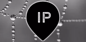 IP Address Finder