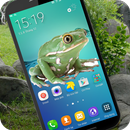 Frog on Screen : Prank APK