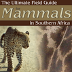 Ultimate Mammals Africa