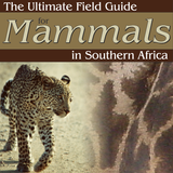 Ultimate Mammals Africa icône