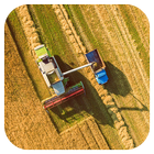 Fall Bread Harvester Puzzles icône