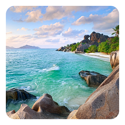 美しいライブ壁紙