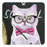 Pets 3D Live Wallpaper icon