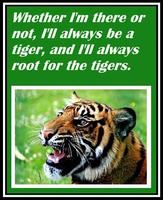 Inspirational Tiger Quotes capture d'écran 1