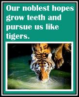 Inspirational Tiger Quotes capture d'écran 2