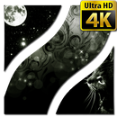 Fonds d'écran noir 4K UHD APK