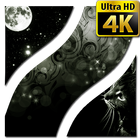 Negro Fondos de pantalla 4K icono