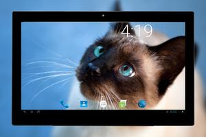 Fondos de pantalla del gato 4K captura de pantalla 2