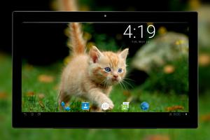 Wallpapers Cat 4K UHD اسکرین شاٹ 3