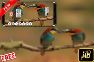 Free Zoom HD Camera (Zoom +++) تصوير الشاشة 1