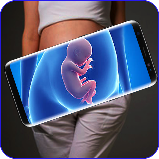Ultrasound Scanner Simulator