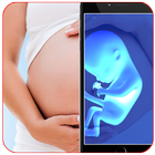 Ultrasound Scanner – Xray Scanner Prank icône