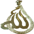 Names of Allah APK