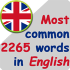 Daily English icône