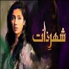 Shehar-e-Zaat أيقونة