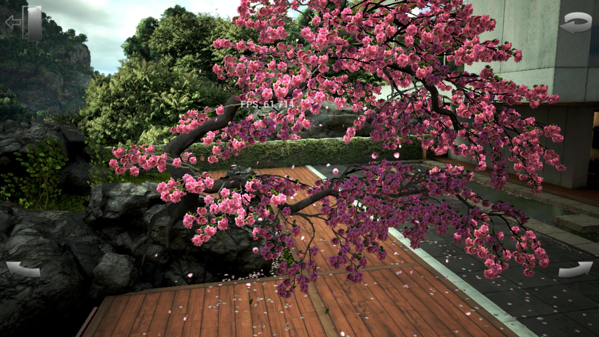 Абстракция сад дзен. Китайский дзен сад Сакура у воды. Paulownia Garden Blossom. Логическая игра Blossom Garden.