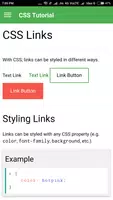 Learn CSS Tutorial screenshot 5