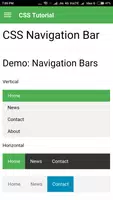 Learn CSS Tutorial screenshot 6