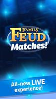 Family Feud® Matches! poster
