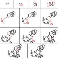 برنامه‌نما How to draw animals عکس از صفحه