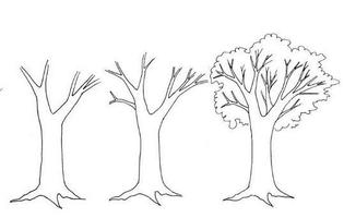 Cómo dibujar un árbol captura de pantalla 3