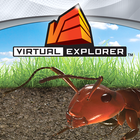 Virtual Explorer Antopia-icoon