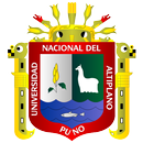 Universidad Nacional Del Altiplano aplikacja