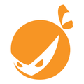 Verify.Ninja