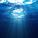 under the sea live wallpaper APK