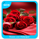 Roses Live Wallpaper APK
