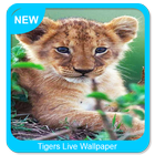 Tigers Live Wallpaper icône
