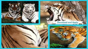 Tigers Live Wallpaper capture d'écran 1