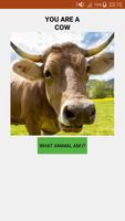 What Animal am I? Funny Prank bài đăng