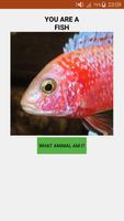 What Animal am I? Funny Prank ảnh chụp màn hình 2