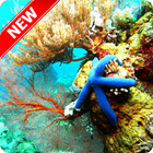 Underwater Wallpaper آئیکن