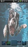 Underwater Dogs Live Wallpaper screenshot 2