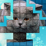 ikon PicPu - Cat Picture Puzzle